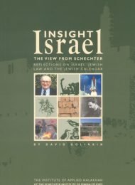 Insight Israel Vol. I