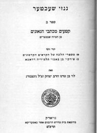 גנזי שכטר, ספר ב'